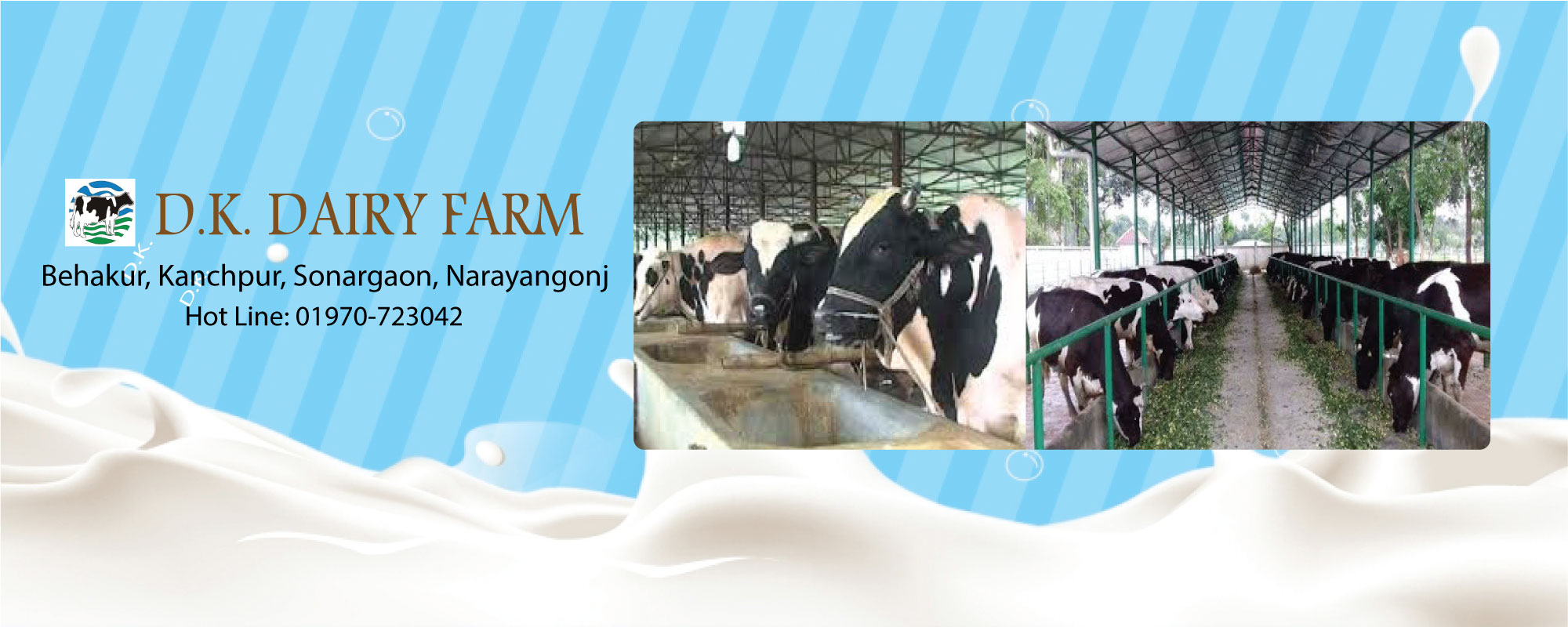 DK Dairy Farm